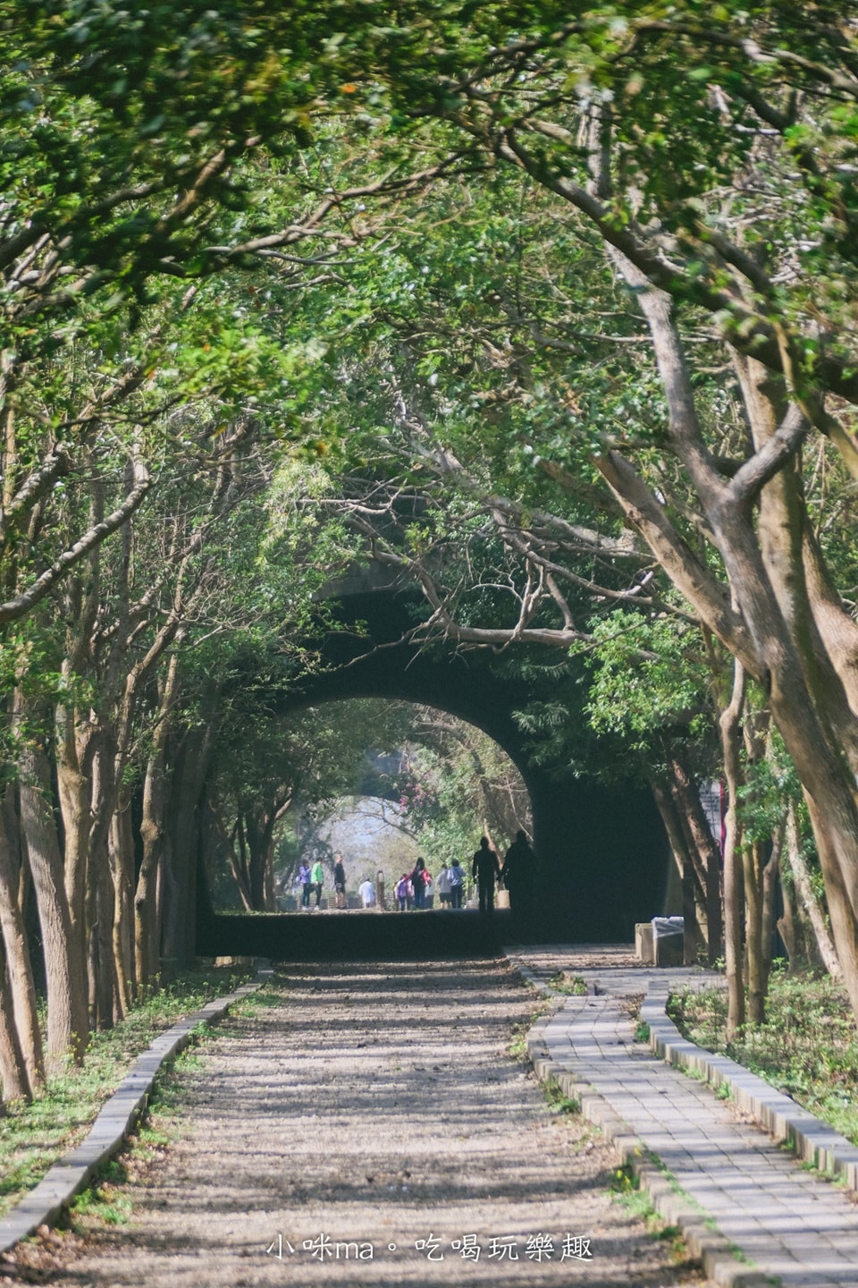 【苗栗景點】崎頂子母隧道、崎頂車站一日遊｜二訪依然超推！親子家庭散策首選，神隱少女隧道與《你的名字》階梯一次收錄